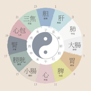 子午流注 は養生の目安 夕食が遅い人の太りにくい食べ方とは